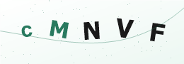Güvenlik kodu